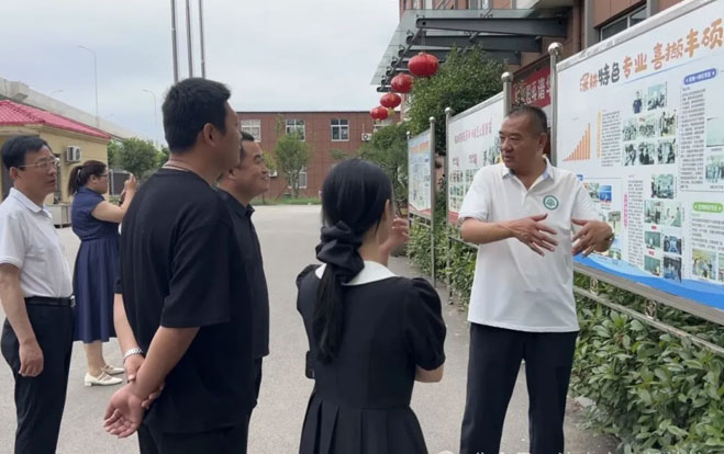 干净雅致的校园环境