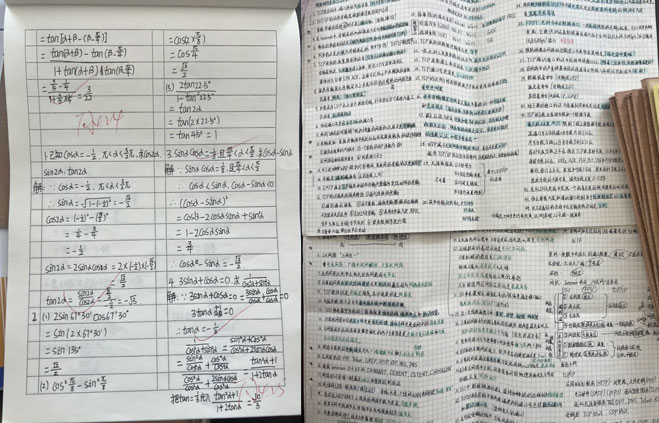 学生作业展示